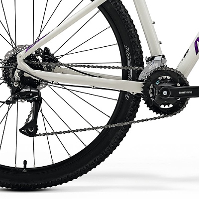 big-nine-20-biely-fialovy-2024-d4